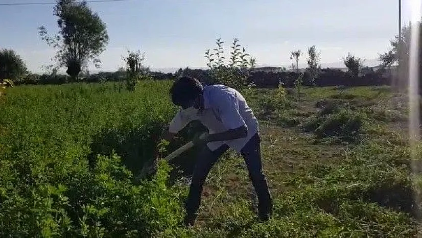 Tarım arazilerinde hummalı çalışma sürüyor
