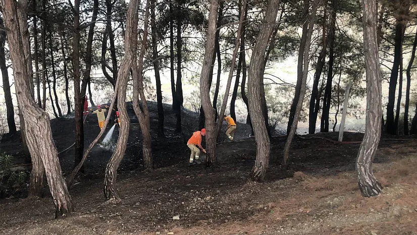 Yangın söndürüldü, vatandaş piknikçilere tepki gösterdi