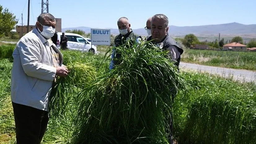 Saha çalışmaları meyvesini vermeye başladı....